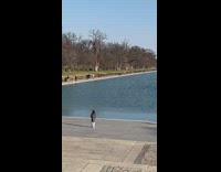 Guy grey shirt dance Lincoln memorial  steps