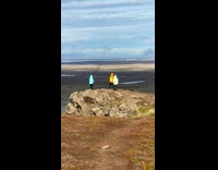 Three people with jacket hoodie tiktok dance rocky hill