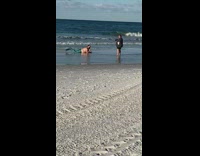 Man in a mermaid costume at the beach