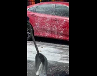 City workers spill white paint on car