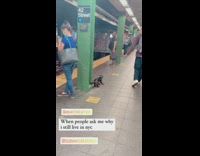 Guy brings cat on leash to subway station 
