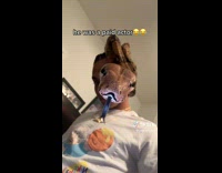 Pet Snake on Mans Head Checks Smartphone