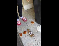 Guy yelling after he dropped plate of pizza