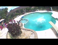 Collab Clips MPUGC - Dog thought hooman was drowning jumps in pool