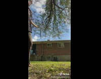 Girl hanging from branch falls says she has concussion 