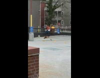 Two girls sitting parking lot rail