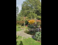 Woman spin hoop with butt park waterfalls