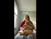 Collab BitchIG2 - Woman carries big fat orange cat 