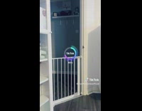 Woman checks for ghosts using anime filter 