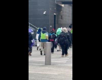 People dressed us furry cross the street