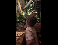 Boy ask if elephant animatronic is mad at him