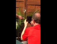 Man red shirt hold wine glass father
