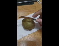 Kiwi fruit that cannot be cut or slice by a knife
