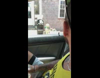 Dog barks out car window at statue 