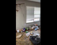 Tenant leaves home in disgusting condition 