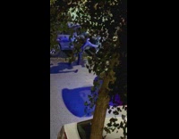 Cop steps in dog poop 