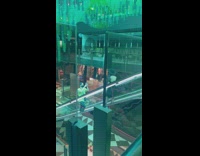 Woman black hat blue hair on escalator