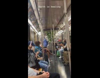 Two guys move green plants onto subway 
