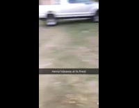 Guy passed out while friend rides ATV