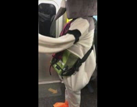 person dressed as pigeon with tie orange feet
