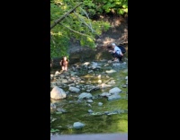 Girl in white bikini poses in pod