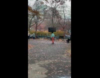 Collab WINY - Man green jacket balance TV on head