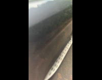 Son kisses moms hand