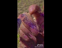 Deep fry saturated optical illusion 