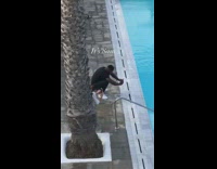 Woman black bikini pool floating breakfast boyfriend.