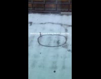 Man drawing reindeer on snow