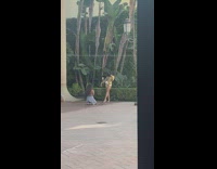 Girl yellow printed long sleeves beside trees