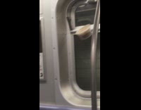 Plastic container hangs and swings on subway 