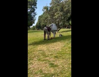 Man Helps her Lady Puts on Shoe