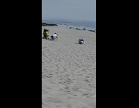 Woman white hat long blue jeans photo shoot beach Part 2