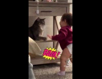 Cat hits baby on the face 