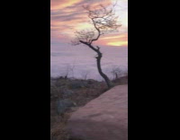 Views on top of mountain sunset above clouds