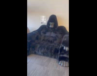 Gorilla couch inside the mall slow motion