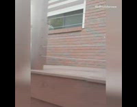 White fluffy dog runs on balcony and sticks head out from metal rope