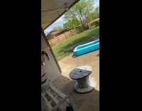 Collab BitchMP - Dog in backyard howling sounds like firetruck siren