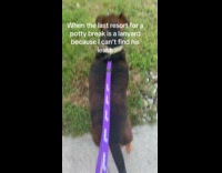 Dog use lanyard as leash for potty
