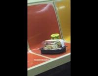 Rotisserie chicken and jar of pickles subway