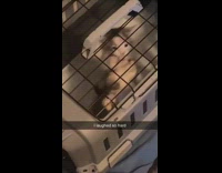 Cat pulls other cat away trying to climb inside cage