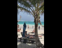 Guy climb tree hang legs beach tourists 