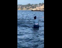 Lady Sits on Shallow Rock to Reach Seals