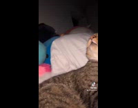 Collab BitchMP - Cat randomly bites another cats head 