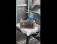 Collab WINY - Nervous Rat in Cage on Old Grill Squeals