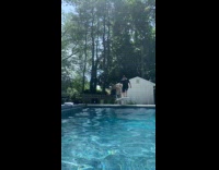Man slips and fall from diving board 