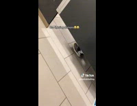 Collab ClipsIG - Man on Next Toilet Struggles to Defecate