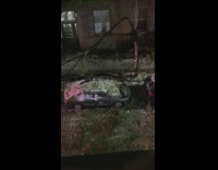 broken tree branch falls on snowy car