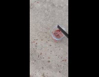 Guy lights plastic bottle filled with fireworks 